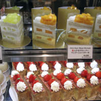 SATUKIのエクストラスーパーメロンショートケーキとエルメのバイキング