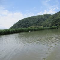 ぶらり日本