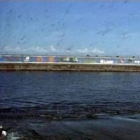 海鳥のサンクチュアリ　天売島と森林浴を楽しむメルヘンの焼尻島　７０回目　羽幌へ