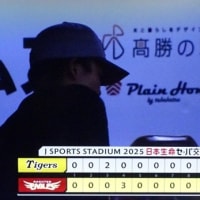 ご近所のビワなど