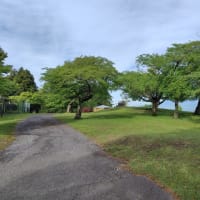 早朝カブ散歩　大野山でチェアリング