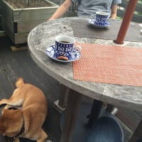 ぼくとコーヒーとtomeさん