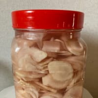 目が冴えるピリリと辛い新生姜