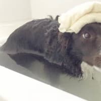 いい湯だな〜