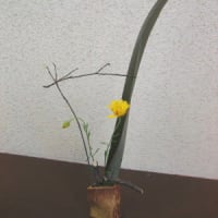 花一輪と枝物-3
