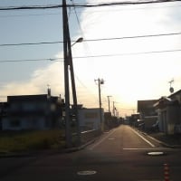 2025年6月9日(月)　苫小牧「近所の自然散歩」繁殖期鳥類調査