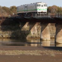 前回は「むかわ竜＋北海道色」だったので