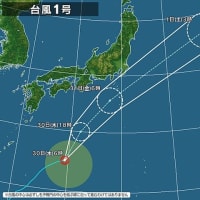 🌀　台風１号