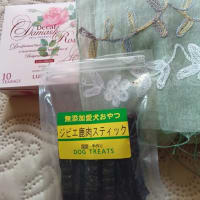 田植えの季節
