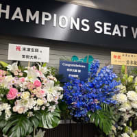 米津玄師2025TOUR_JUNK_東京　雑感