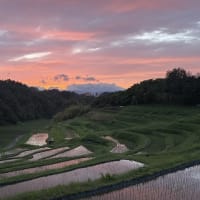 ◆  夕焼け