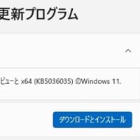 Windows 11 バージョン 23H2 に.NET Framework 3.5 累積更新(KB5036035) がオプションプログラムとして配信されてきました。