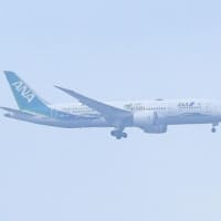 花と雫
