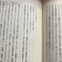 ショック・ドクトリンの本（日本の場合は？）