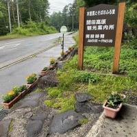 小雨です