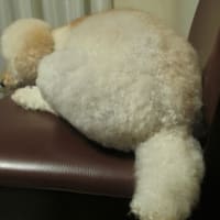 ひたすら待つのです！