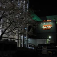 The Birthday “38 NIGHTS ON FOOL”TOUR @ ZEPP TOKYO