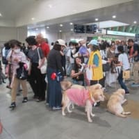 6/7　東響第100回川崎定期　ミケーレ・マリオッティ