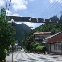 食
