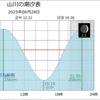 鯵釣り