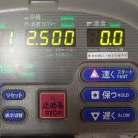 本日の修行