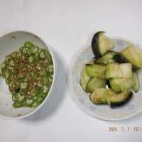 　やっと恵みの雨が　野菜収穫5種類