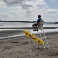 干潮間近の夏の海／葛西海浜公園