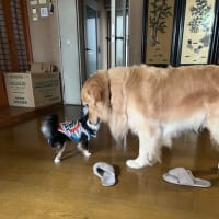 パフューム？