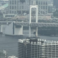 立憲、東京で共倒れの気配背中に保守前区議１ポイント差ある１社の中盤情勢、枝野「連合東京本部」へ野田・小川も投入