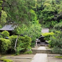 北鎌倉　正覚寺参拝しました。