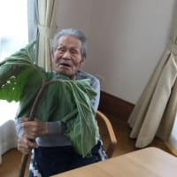 春の山菜取り