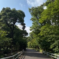 眠くて眠くて