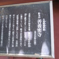 ぶら散歩～世田谷野毛公園・善養密寺