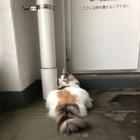 こっそり２ショット