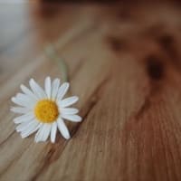 主の前で高ぶるな