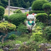 こんな熱い気持ちは必要かな