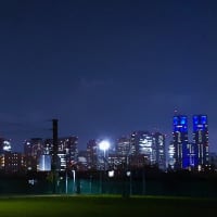 東京・街の一コマ　：　南台いちょう公園（中野区）