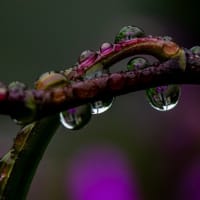 雨滴
