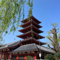 研修旅行2025