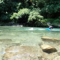 夏渓流で河童になる