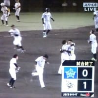 京都ものがたりの道（毎日新聞出版）～彬子女王