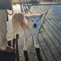 大輝癌と闘う！