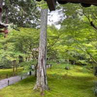 貴船神社、貴船川床料理、大原三千院、バスツアー
