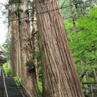 夏の終わりの信州旅行