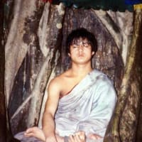 瞑想続ける「釈迦の化身」少年の謎究明へ＝ネパール当局