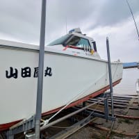 船を上げてみた