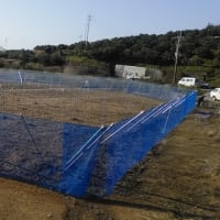 ぶどう棚用雨除け資材 簡易トンネルメッシュ 株式会社アセラ 園芸資材部 ぶどう棚用雨除け資材 簡易トンネルメッシュ 株式会社アセラ 園芸資材部
