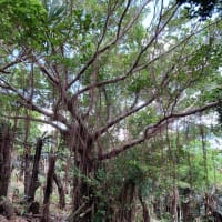 数年振り…2度目の