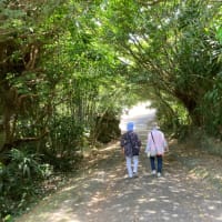 知念城跡！