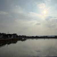 夕方散歩